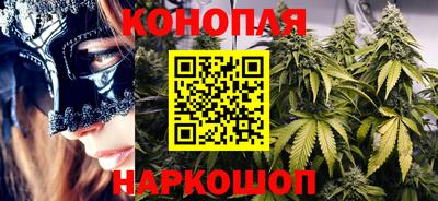 PSILOCYBIN Бийск