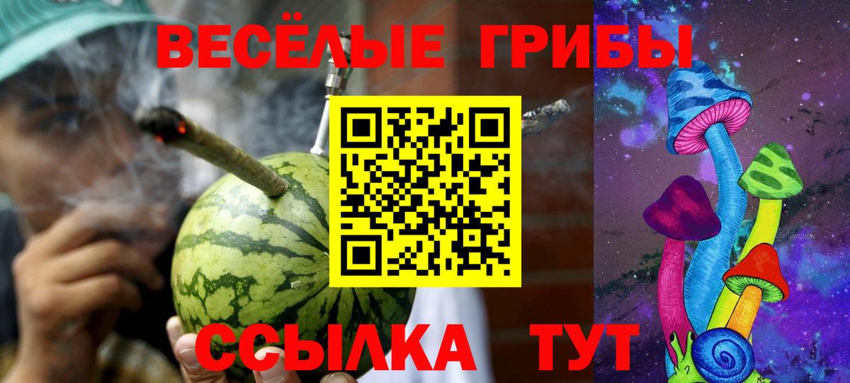 Псилоцибиновые грибы Psilocybe Кимовск