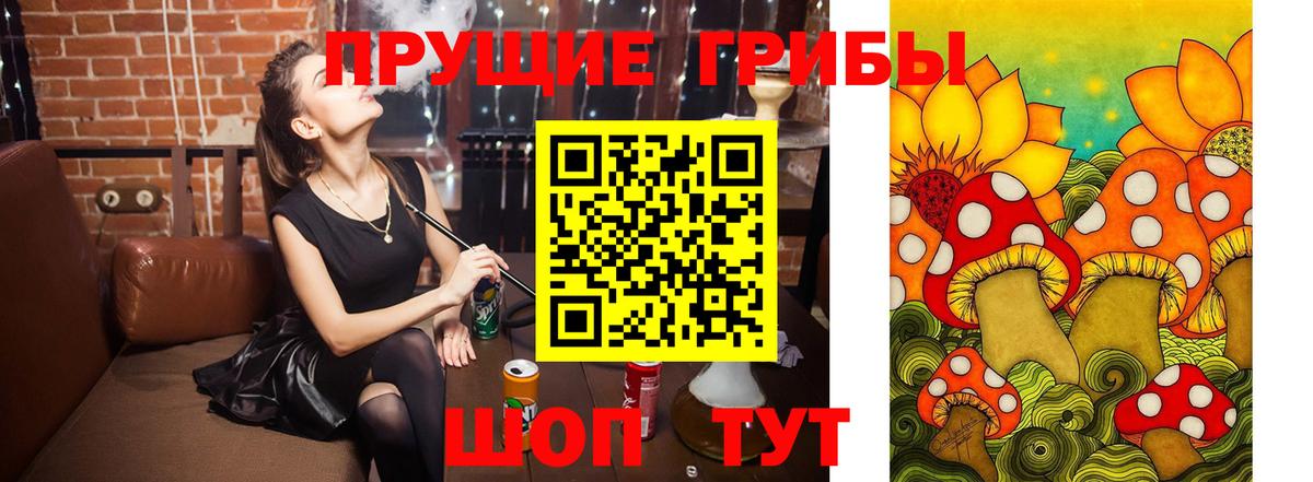где купить   Галлюциногенные грибы прущие грибы  Вход с VPN  Кимовск 