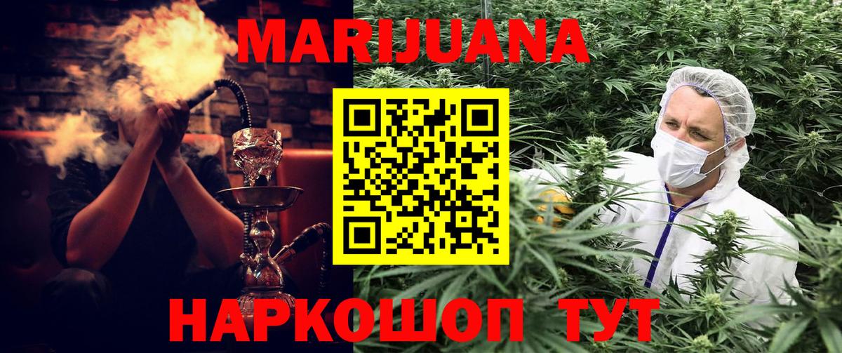 Канабис OG Kush Кимовск